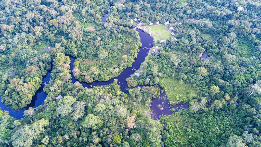 Aerial view of a dense, green rainforest landscape with a winding river and small villages.