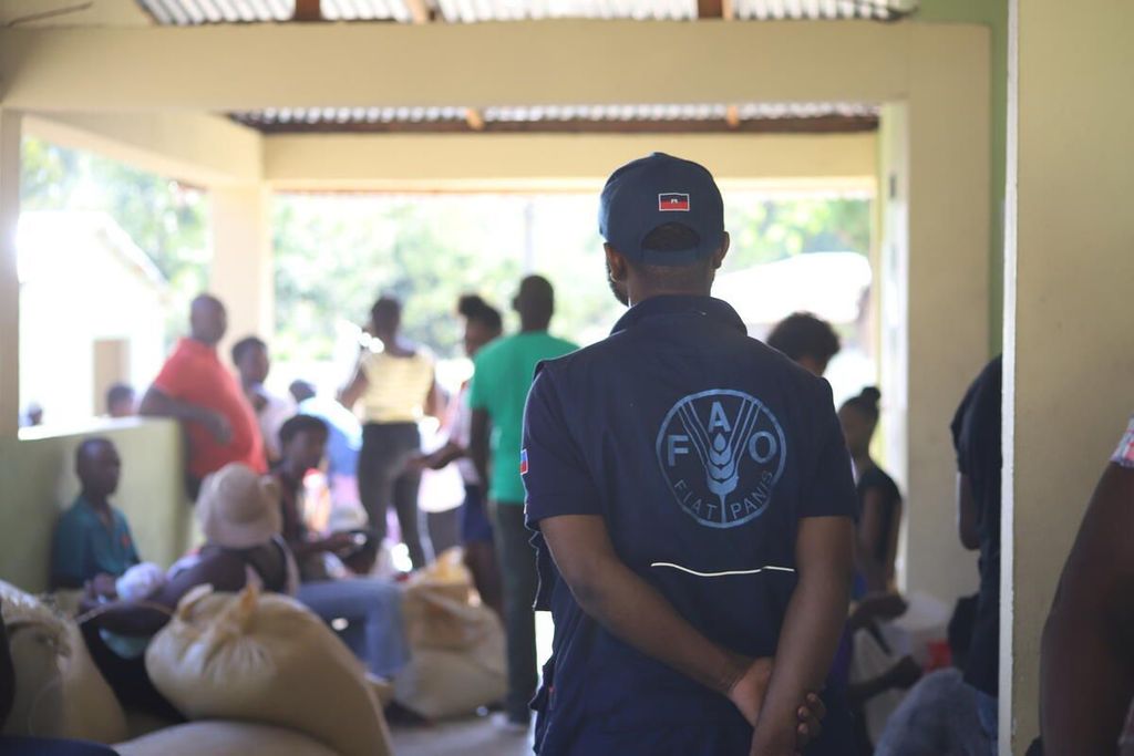 A man in an FAO uniform stands with his back to the camera, observing a group of people gathered in a building with a view of a partially visible outdoor scene.