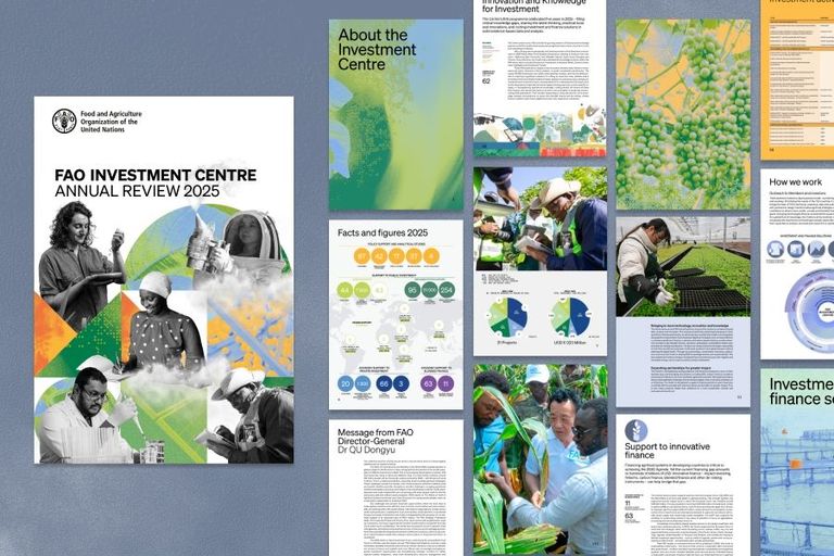 The annual review of the FAO Investment Centre showcases a collage of images and data related to food and agriculture, investment, and innovative solutions.