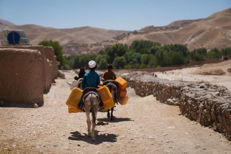 A donkey carrying two boys and several yellow crates walks down a dusty path in front of a mud-brick building and a stone wall in a desert landscape.